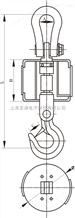 亚津无线带打印电子吊秤生产制造业用30吨无线吊秤