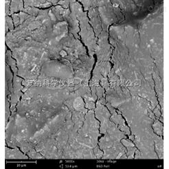 Phenom Pro 石油煤炭领域扫描电子显微镜