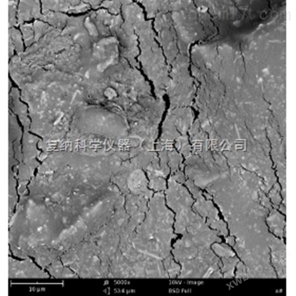 Phenom Pro 石油煤炭领域扫描电子显微镜