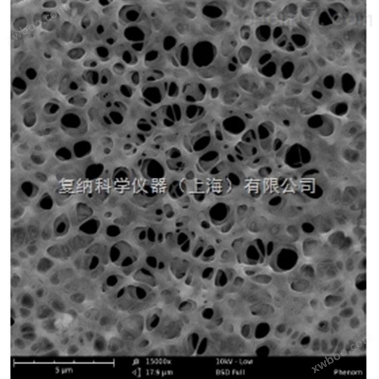 Phenom 飞纳高分子膜领域扫描电子显微镜