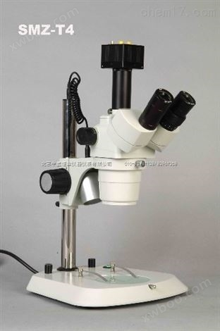 考古文物鉴定体视显微镜