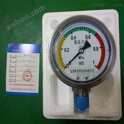YA-100氨压力表0-1MPa