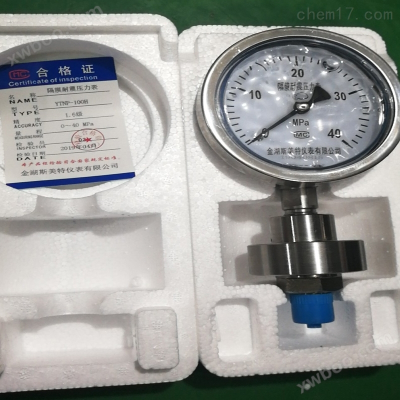 Y-100不锈钢隔膜压力表0-1Mpa DN50 耐震
