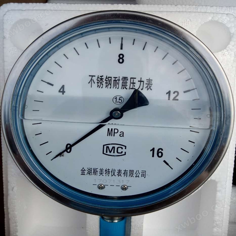 YTN-150H不锈钢防震压力表|0~16MPa