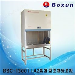 上海博迅BSC-1000IIA2生物安全柜
