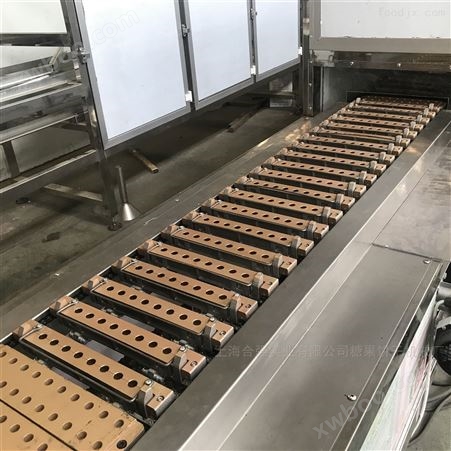 休闲食品机械 小型软糖浇注生产线 糖果生产线