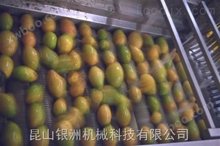 芒果汁生产线