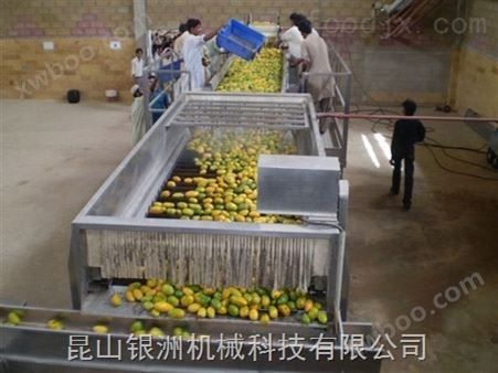 全自动芒果汁生产线