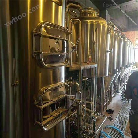 广西500升自酿啤酒设备 酿酒机械