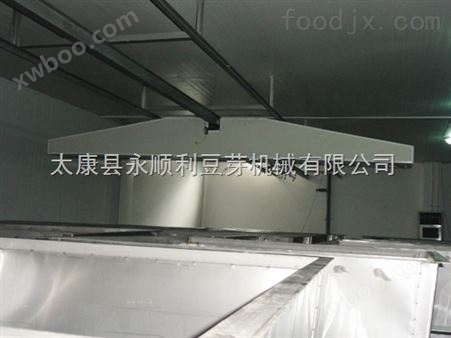 山西大型豆芽机生产线