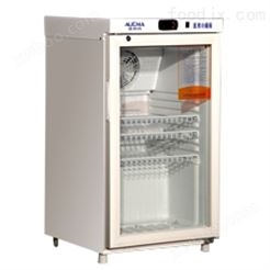 YC-80国产药品冷藏箱专卖