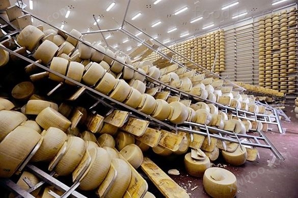 奶酪设备生产线