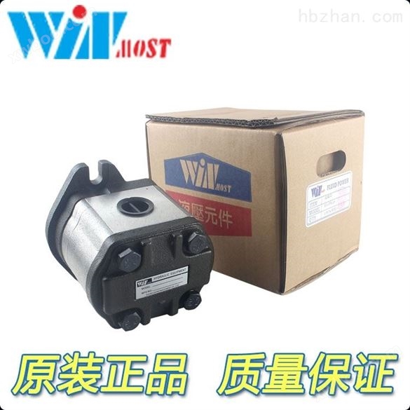 齿轮泵液压系统温升发热厉害中国台湾WINMOST