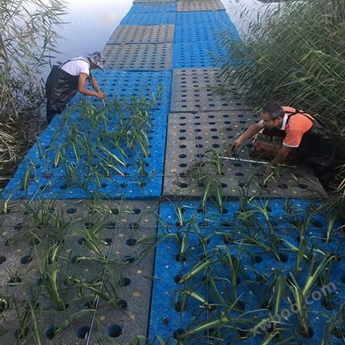 湖泊水生态治理人工生态浮岛技术方案