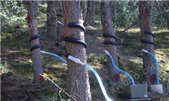 树干截留采集仪 植物生理生态仪器