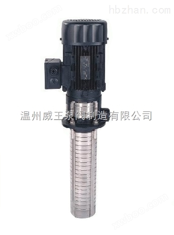 多级泵：CDLK/CDLKF浸入式多级离心泵