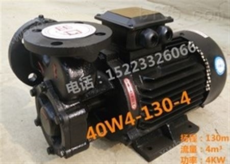 40W4-130-4旋涡泵