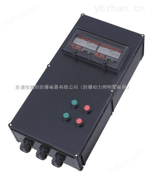 BXM8030（BXM8050）防爆防腐照明配电箱