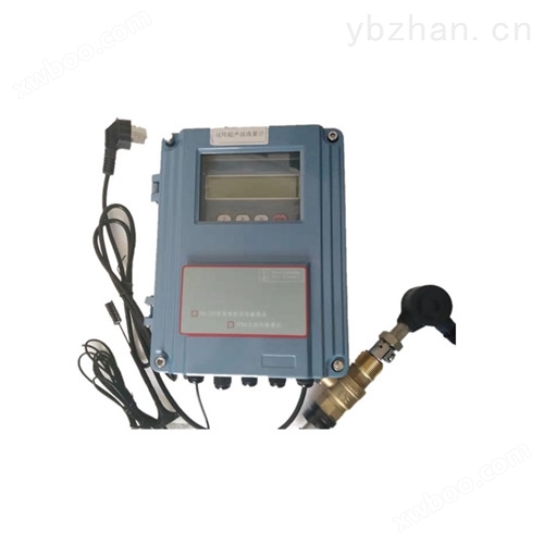 无线插入式超声波流量计TUF-2000-SSY-200