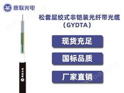 GYDTA-48芯，松套层绞式非铠装光缆，电力光缆厂家，室外光缆价格