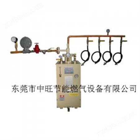 丙烷LPG气化器