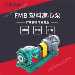 JN/江南 工程卧式化工泵 单级清水泵 硫酸塑料泵厂家 FMB50-32-125