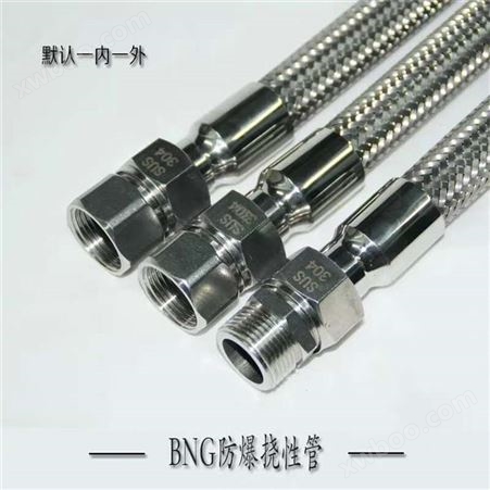 BNG-II不锈钢防爆挠性连接管