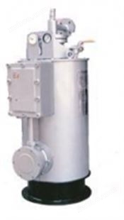 圆形气化炉 CPEX中邦气化炉 原装中邦气化器