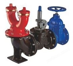 消防水泵接合器（地下式）2
