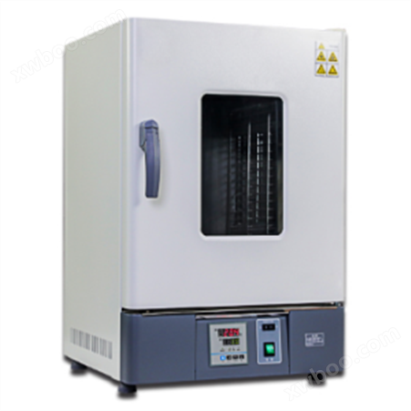 BX-Y315-85D  PID智能控温热空气消毒箱（干烤灭菌箱/远红外干燥箱）