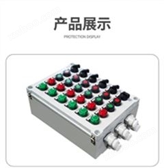 BXK-A4D4防爆配电控制箱