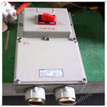 BLK52-63A/4P防爆断路器 可以带漏电 电流10/16/20/25/32/40/50A