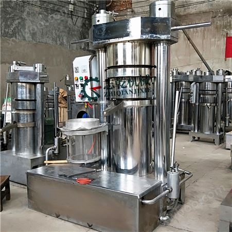 液压榨油机 芝麻香油压榨设备 核桃油压油机