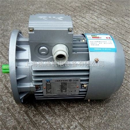 MS100L-2紫光电机生产商