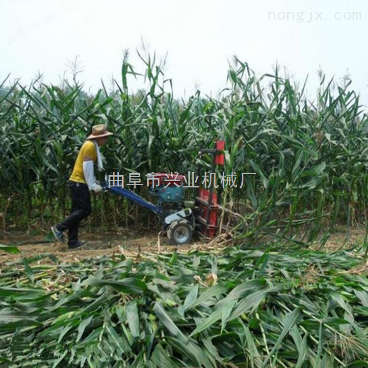 手扶拖拉机带玉米割倒机厂家苜蓿草收割机