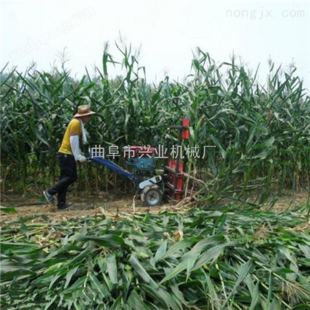 河南汽油辣椒收割机厂家 玉米秸秆割晒机