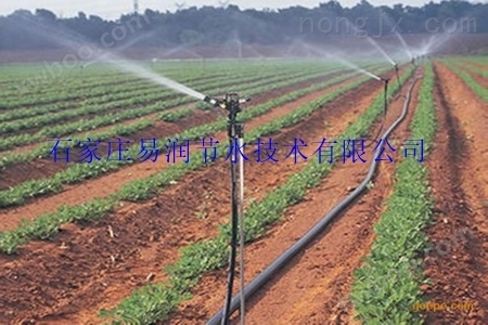 精品大田喷灌设备/农田灌溉投入低收入高