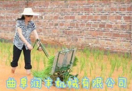 双行水稻插秧机 多功能水稻插秧机价格