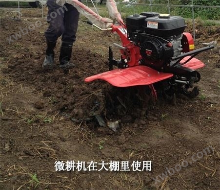 菜农使用的旋耕松土机 微耕松土机 小型旋耕机