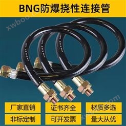 BNG防爆挠性连接管