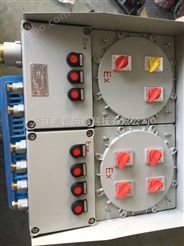 防爆照明动力配电箱 BXMD53防爆配电箱