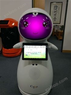 上海机器人出租公司