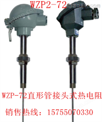 双支铂热电阻WZP2-321PT100