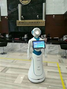 政府银行服务机器人