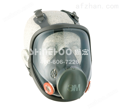 3M 6800防毒面具/防毒全面罩 双滤盒