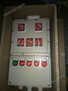BXM51防爆应急照明配电箱