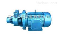 温州批发1W型单级旋涡高压泵