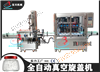 全自动真空旋盖机马口铁盖
